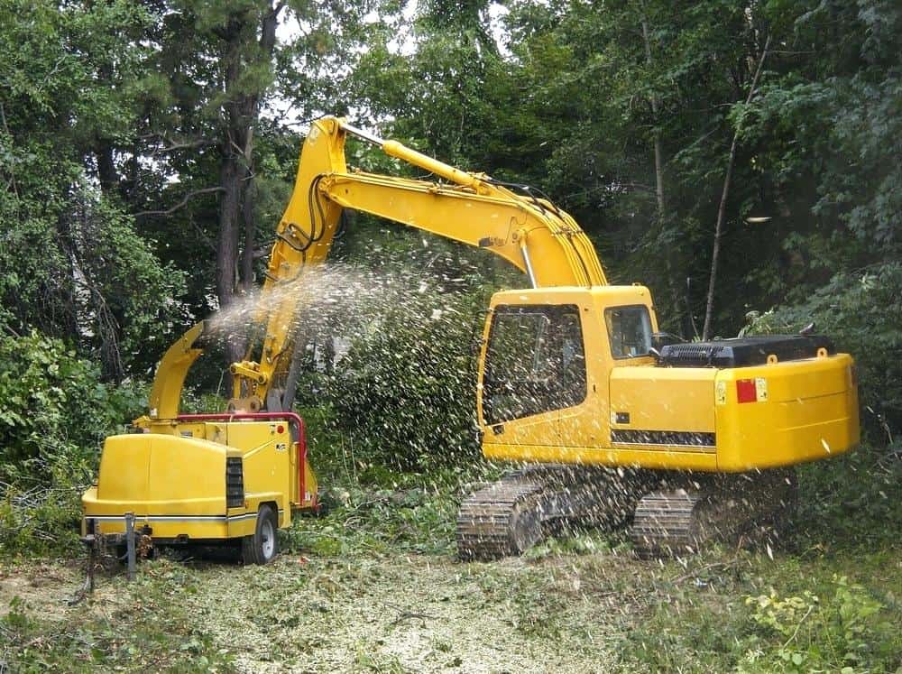 commercial tree service in Knoxville TN clearing business lot