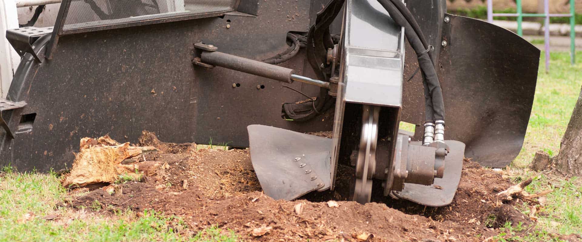 best-stump-grinding-knoxville-tn